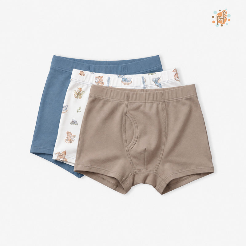 TRIPACK BOXER DRAGONES